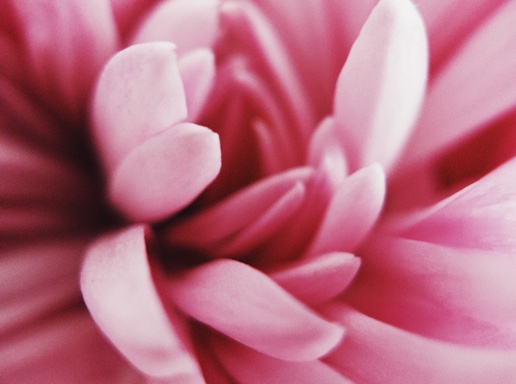 EXPLORA <br>TUS SENTIDOS