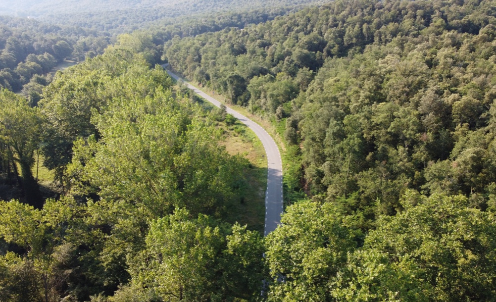Carretera en la Naturaleza Girona